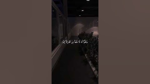 حَتَّى إِذَا ضَاقَتْ عَلَيْهِمُ الْأَرْضُ بِمَا رَحُبَتْ - القارئ علي جابر - سورة التوبة