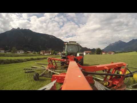 Gras Silage 2-3