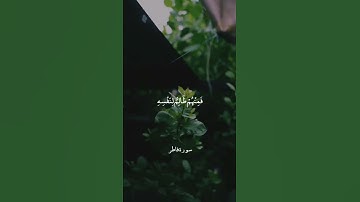 ثُمَّ أَوْرَثْنَا الْكِتَابَ || سورة فاطر || علي جابر