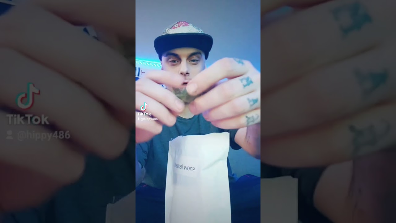 Reviewing Snow Leopard & Mandarin Cookies 