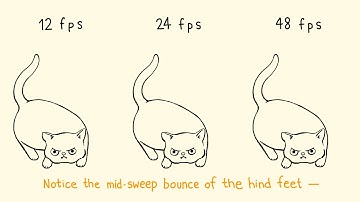 Animation Frame Rate Comparison - 12fps vs 24fps vs 48fps - Cat wiggle-butt