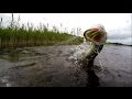 Pike fishing wt topwater, poppers & weedless lures. Рыбалка щука на незацепляйки и попперы.