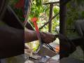 🔥 This Blacksmith Work Deserves 50 Million Views! – #foryou #viral #subscribe #like #comment #shorts