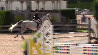 Video of PRINS ridden by ROMY LAUER from ShowNet! Net Worth
