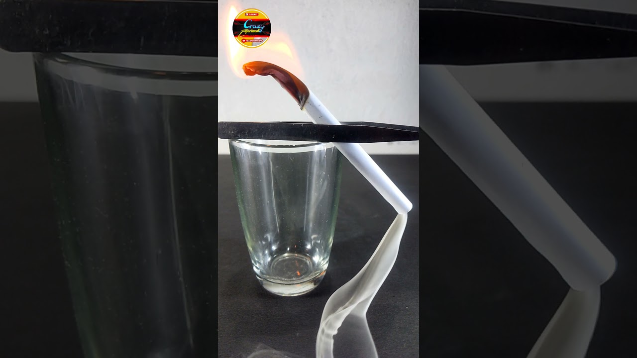 🔥 - Amazing 🔥Science Experiment With - Paper || 