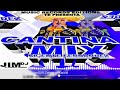 Vicente Fernandez Cantina Mix| JimDj El Cerebro Musical Music Record Editions