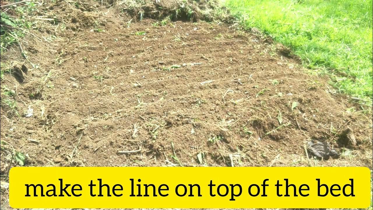 The easiest way of making nursery bed YouTube