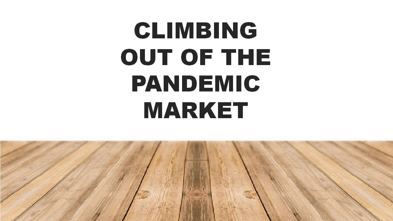 Climbing out of the pandemic housing market