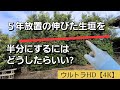 伸びまくった生垣を電動剪定鋏を使って剪定します。プルナボ電動剪定鋏と剪定のレビュー