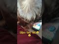 #cute #funny #love #love #trending