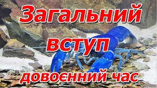 Загальний вступ по Австралійському червоно-клешневому раку