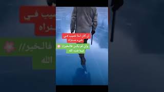 إن كان لنا نصيب في شيء سنراه