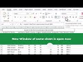 How to view same or other workbook besides in Microsoft Excel