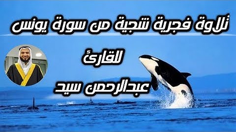 تلاوة فجرية شجية من سورة يونس للقارئ عبدالرحمن سيد