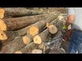 Willey’s Firewood is live!