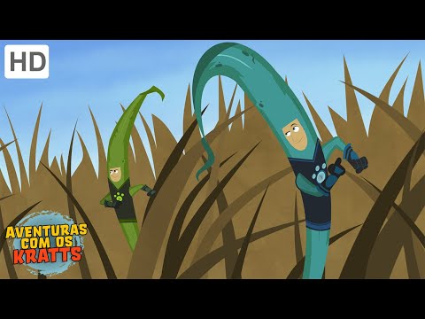 Aventuras com os Kratts - A Cadeia Alimentar (Episódio Completo - HD)
