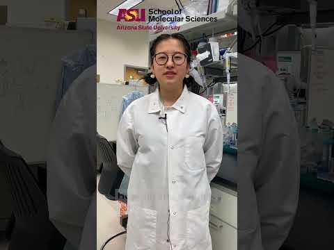 Undergraduate Research Highlight: