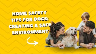 Home Safety Tips for Dogs: Creating a Safe Environment #tips #dog