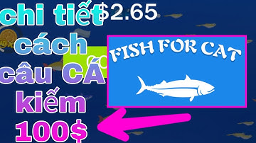 Chơi game câu cá kiếm 100$ hoàn toàn miễn phí | Fish for cat