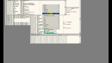 How to make multi client for Tibia