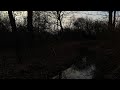 Aethyrien - ODENSJAKT, The wild hunt (Music video) x Cerber x Presa Canario