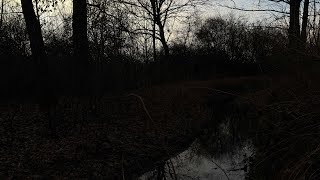 Aethyrien - ODENSJAKT, The wild hunt (Music video) x Cerber x Presa Canario