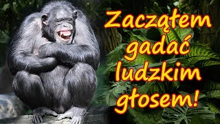 Narzędzia do zamiany tekstu na mowę, tworzenia podkładów głosowych oraz zaawansowanych lektorów. screenshot 4