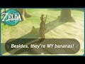 Making yiga mad as a yiga  zelda tears of the kingdom