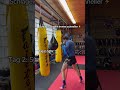 Link in der Bio #boxing #mma