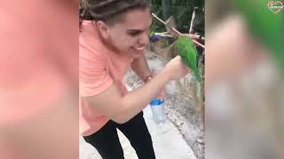 Animals Unexpected Attack On Human   Funny Animals Attack || PETASTIC 🐾 1