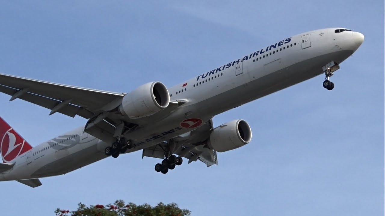 Turkish Airlines Boeing 777300ER [TCLJC] landing at Los Angeles (LAX/KLAX) YouTube