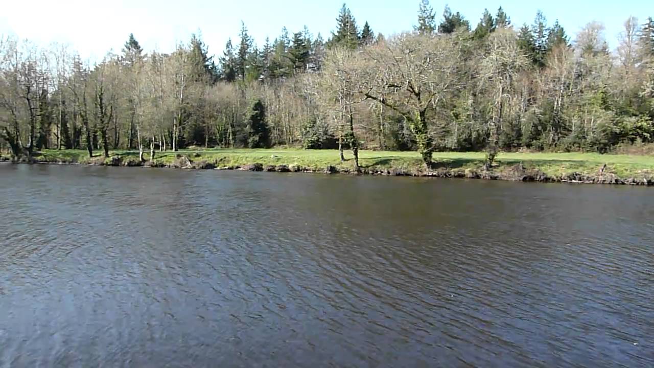 River Blavet voted best coarse fishing river ( Coarse fishing in France ) French carp fishing