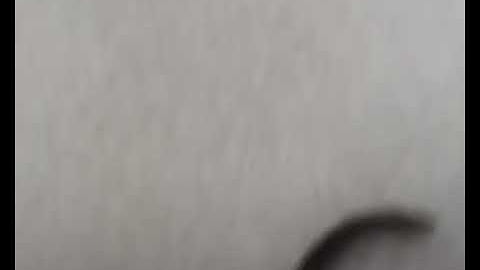 Cô dâu xem bức tranh người yêu cũ tặng và cái kết