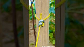Clever Rope knot Trick Using Nuts!