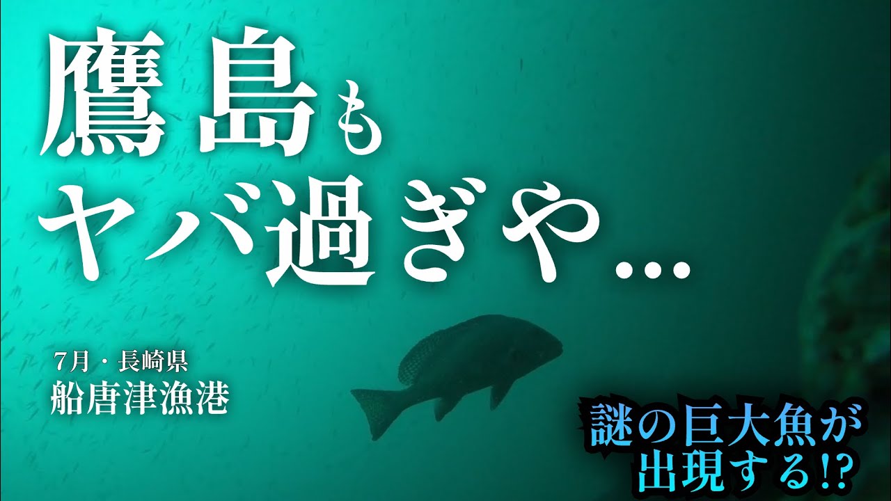 【鷹島・船唐津漁港・長崎県松浦市・海中映像】長崎の海がヤバ過ぎる、、、鷹島の海が別格過ぎ！更には謎の巨大魚まで出現🐟#218 福岡釣部 in 福岡・糸島・佐賀・北九州・玄界灘・長崎・平戸・鷹島・佐賀
