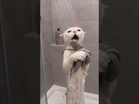 شكل اختك وهي بتستحمى