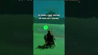 Famous Instant Spin Attack In BOTW Wealth