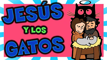 ¿Existe un gato Dios?