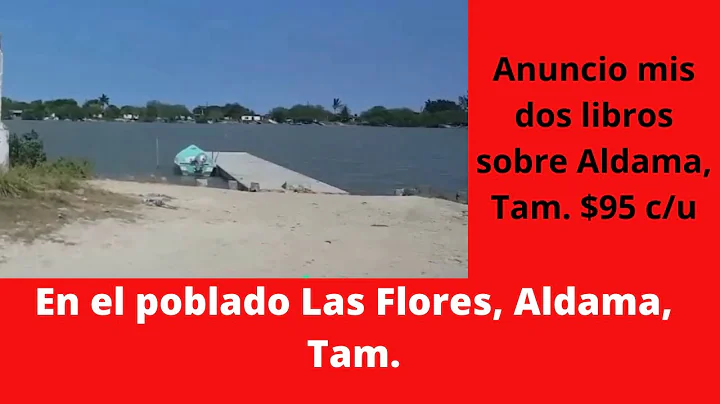 Poblado Las Flores, Aldama, Tamaulipeas, atrs Morn se ve