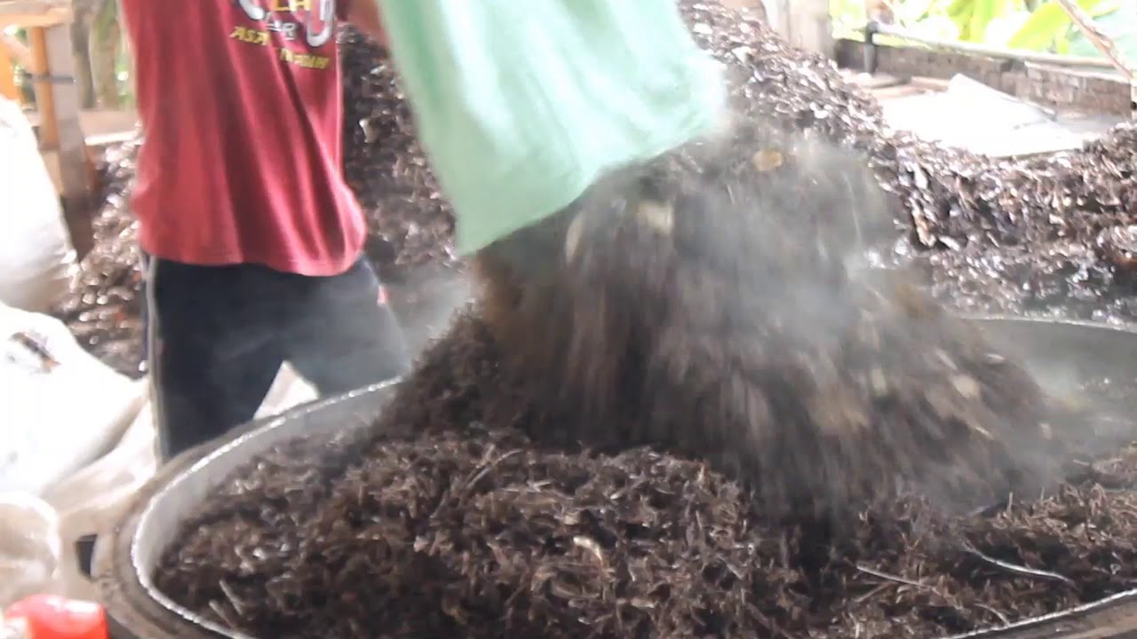 PROSES PENYULINGAN GAGANG CENGKEH part 1