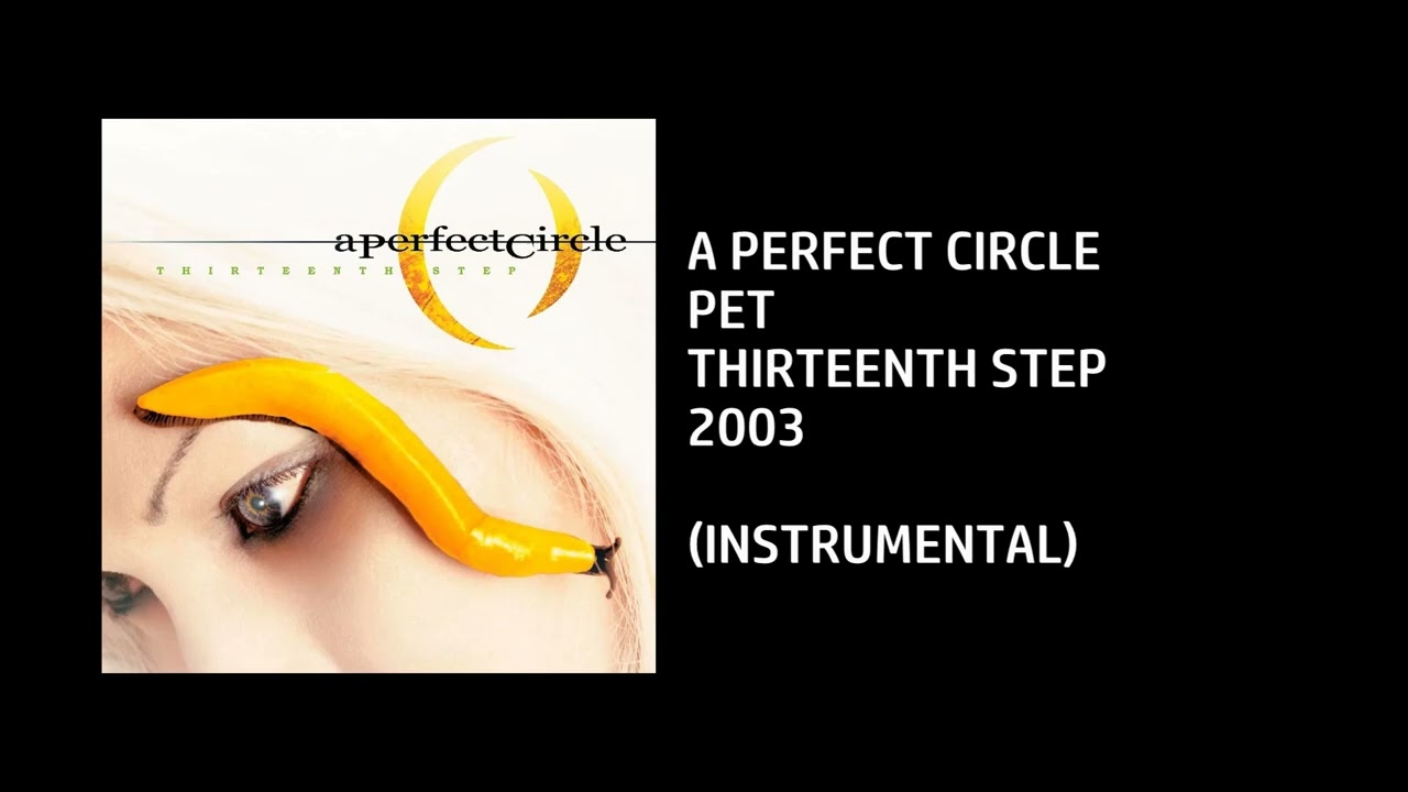 A Perfect Circle Pet Custom YouTube 