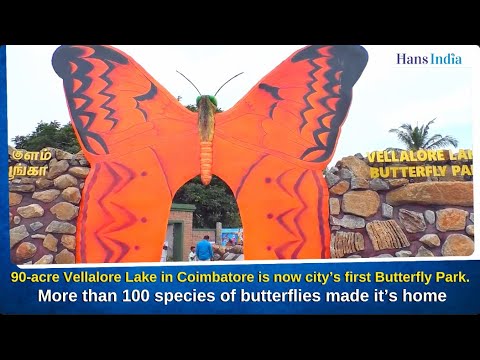 First Butterfly Park At Coimabtore Attracts Visitors, draws more than 100 species of butterflies