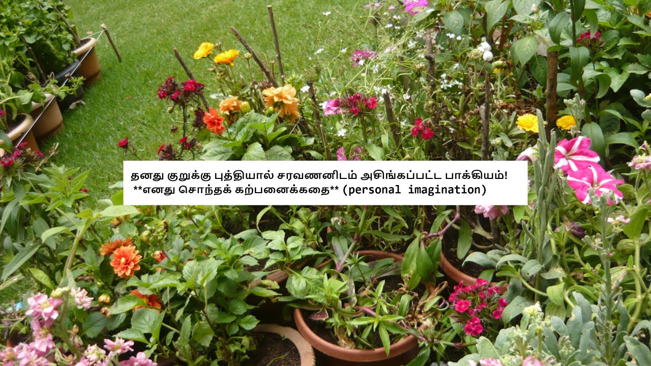 Pandian Stores | Next Week 19th January 2026 Promo - Shocking Twist - Preview Vijay 