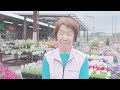 Fostering multistakeholder collaboration for age-friendly communities