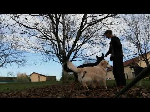 Connexion à la demande / connexion volontaire