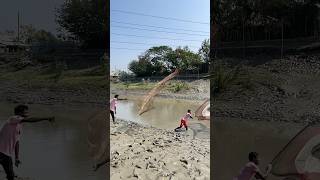 Amazing cast net fishing #reels #fishing #castnetfishing #amazing #wow #nature #flying