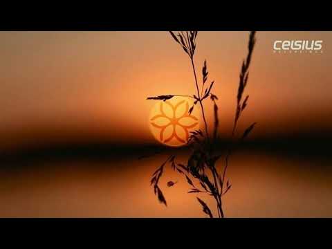 Bilateral Signals - Beneath The Dusk