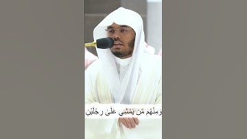 والله خلق كل دابة من ماء...تلاوة خاشعة و مميزة من سورة النور للشيخ د. ياسر الدوسري