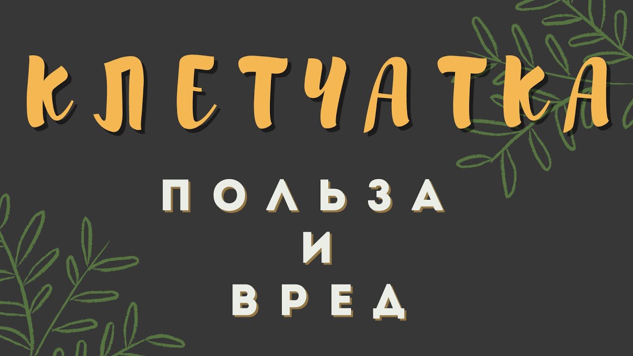 Поему нужно есть клетчатку и почему она так полезна