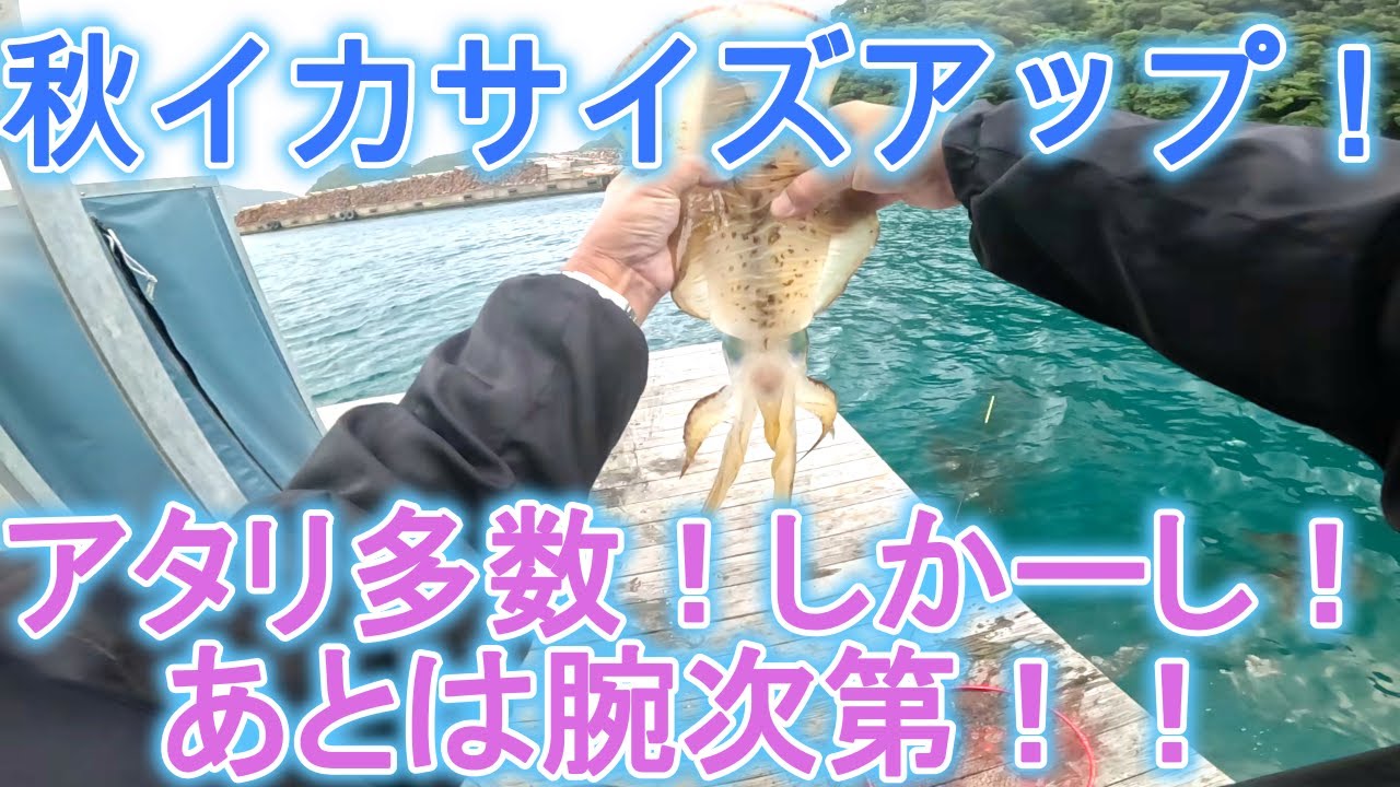 還暦元気おやじのアオリイカ釣りチャレンジ　VOL80